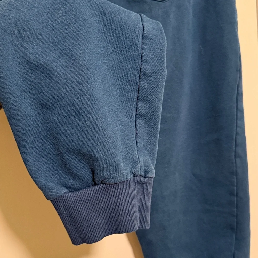 True Religion Washed Blue Joggers